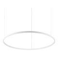 Ideal Lux - LED pendel dæmpbar ORACLE SLIM LED/42W/230V 4000K diameter 90 cm CRI 90 hvid