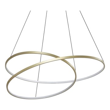 Ideal Lux - LED-pendel med wire OZ LED/75W/230V Ø 100 cm CRI 90 guld