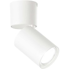 Ideal Lux - LED spotlampe TOBY 1xGU10/7W/230V CRI 90 hvid