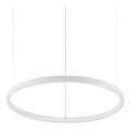 Ideal Lux - ORACLE SLIM LED, dæmpbar pendel på wire, 28 W, 230 V, 3000 K, CRI 90, Ø 50 cm, hvid