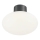 Ideal Lux - Udendørs loftlampe CLIO 1xE27/42W/230V IP44 antracit