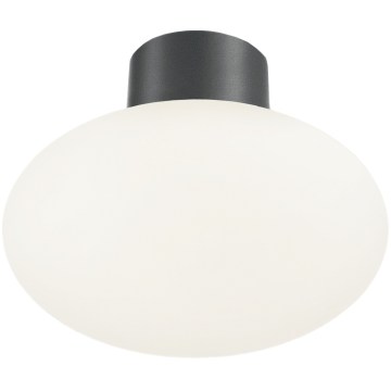 Ideal Lux - Udendørs loftlampe CLIO 1xE27/42W/230V Ø 28 cm IP44 antracit