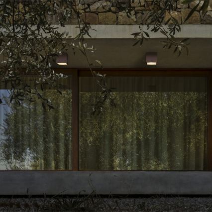 Ideal Lux - Udendørs spotlampe TECHO 1xGU10/20W/230V 9x9 cm IP54 brun