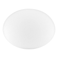 Ideal Lux - Universel reservelampskærm NINFEA Ø 25 cm hvid