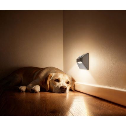 Immax 08309L - LED genopladelig trappelampe med bevægelses- og skumringssensor STEP LIGHT LED/0,3W/3,7V 2200 mAh IP53 grå
