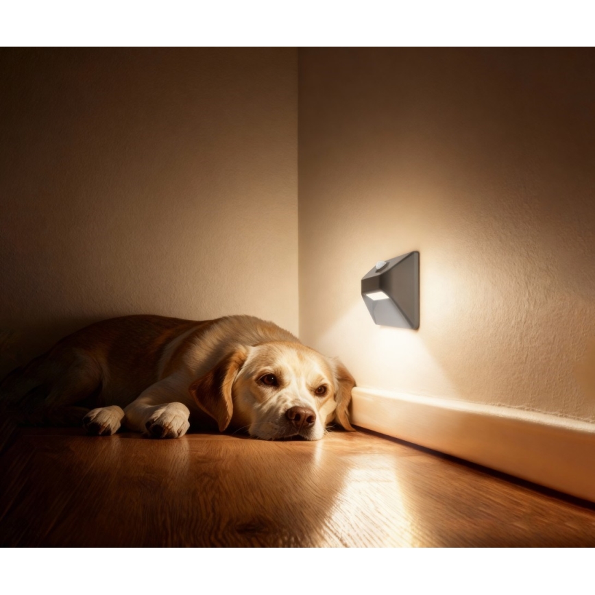 Immax 08309L - LED genopladelig trappelampe med bevægelses- og skumringssensor STEP LIGHT LED/0,3W/3,7V 2200 mAh IP53 grå