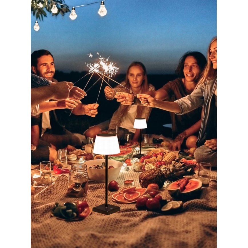 LED dæmpbar udendørs solcellelampe med sensor LED/4W/5V IP44 3600 mAh