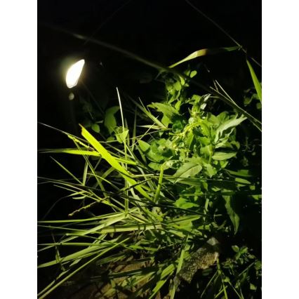 LED solcellelampe med sensor LED/1W/3,7V 6000K IP65 1500 mAh