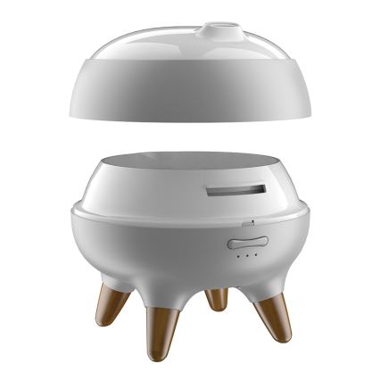 LED aroma-diffuser med LED-lys CARINO LED/10W/24V