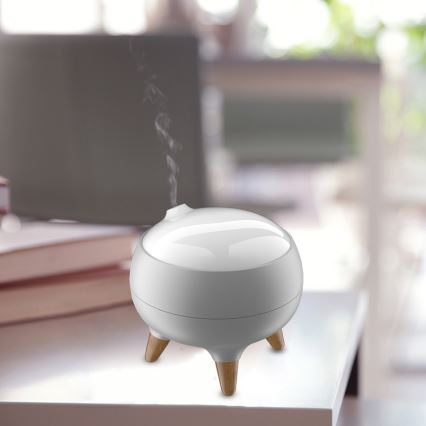 LED aroma-diffuser med LED-lys CARINO LED/10W/24V