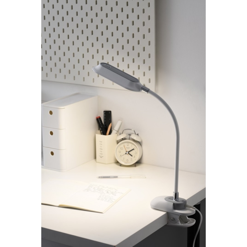 LED+CCT Dæmpbar bordlampe med klemme CLIP LED/7,5W/230V 3000/4200/5000K hvid