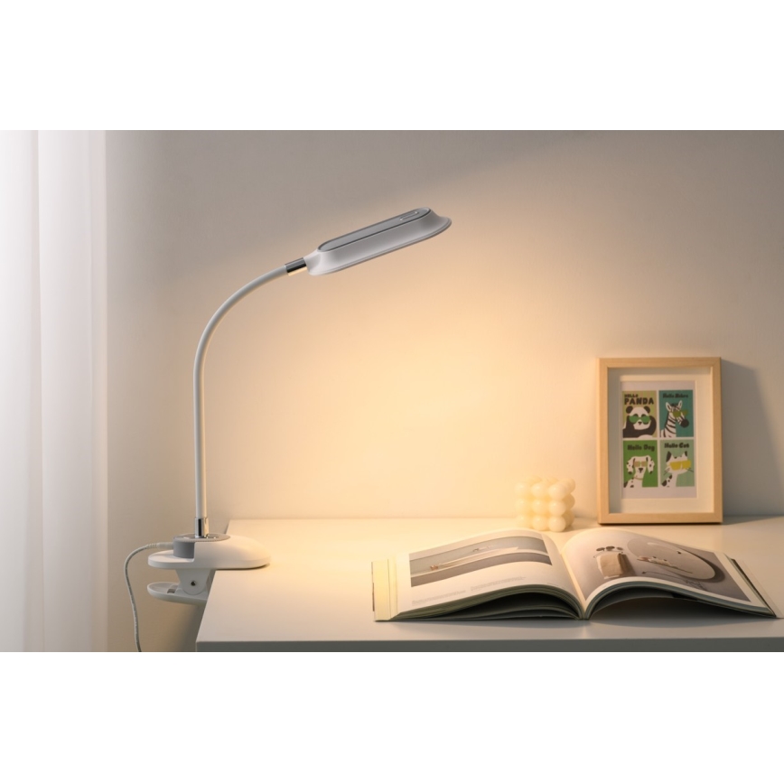 LED+CCT Dæmpbar bordlampe med klemme CLIP LED/7,5W/230V 3000/4200/5000K hvid