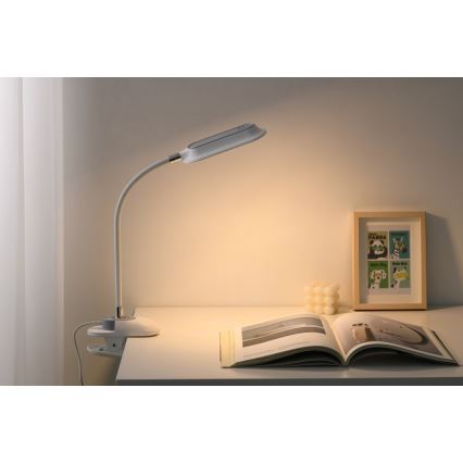 LED+CCT Dæmpbar bordlampe med klemme CLIP LED/7,5W/230V 3000/4200/5000K hvid