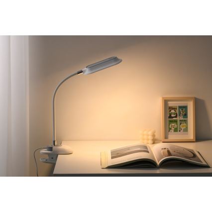 LED+CCT Dæmpbar bordlampe med klemme CLIP LED/7,5W/230V 3000/4200/5000K hvid