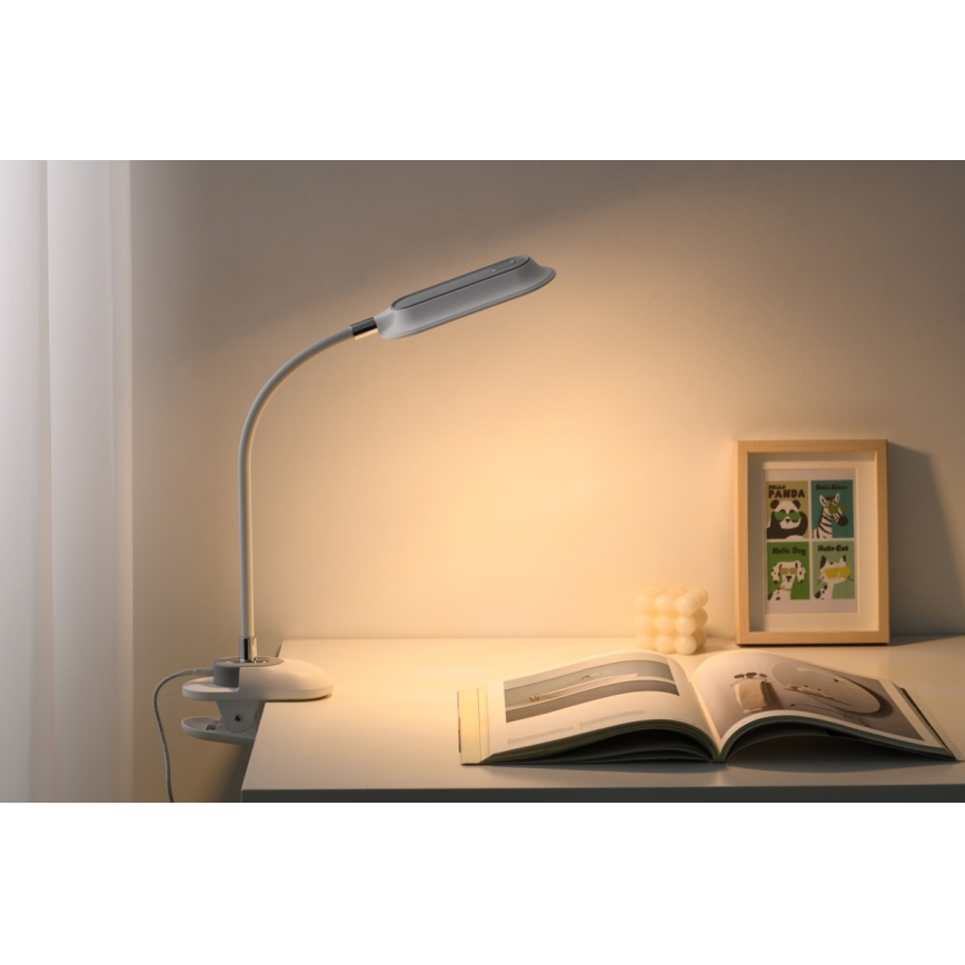 LED+CCT Dæmpbar bordlampe med klemme CLIP LED/7,5W/230V 3000/4200/5000K hvid
