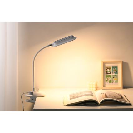 LED+CCT Dæmpbar bordlampe med klemme CLIP LED/7,5W/230V 3000/4200/5000K hvid