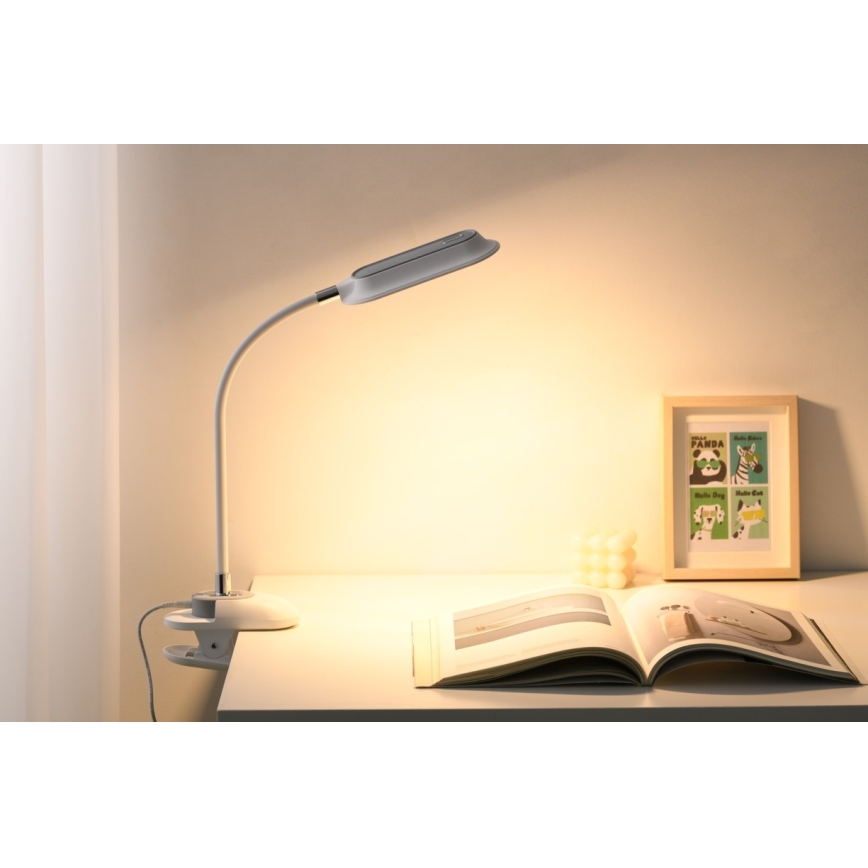 LED+CCT Dæmpbar bordlampe med klemme CLIP LED/7,5W/230V 3000/4200/5000K hvid
