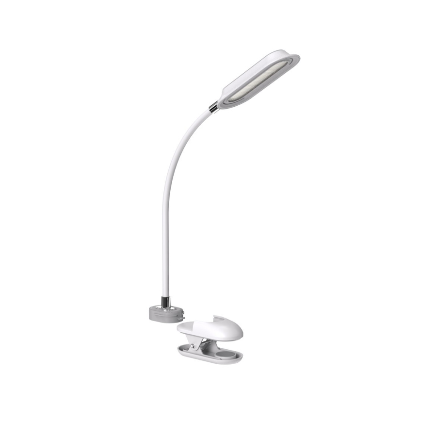 LED+CCT Dæmpbar bordlampe med klemme CLIP LED/7,5W/230V 3000/4200/5000K hvid