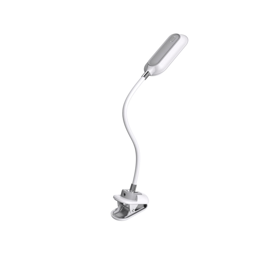 LED+CCT Dæmpbar bordlampe med klemme CLIP LED/7,5W/230V 3000/4200/5000K hvid