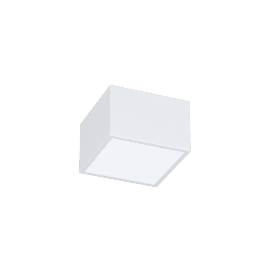 Immax Neo 07072L-15BD - Sæt 2x LED loftlampe dæmpbar CANTO 2xLED/12W/230V + fjernbetjening Tuya