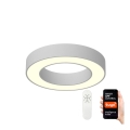 Immax NEO 07095L - LED dæmpbar loftlampe PASTEL LED/52W/230V 60 cm Tuya + fjernbetjening