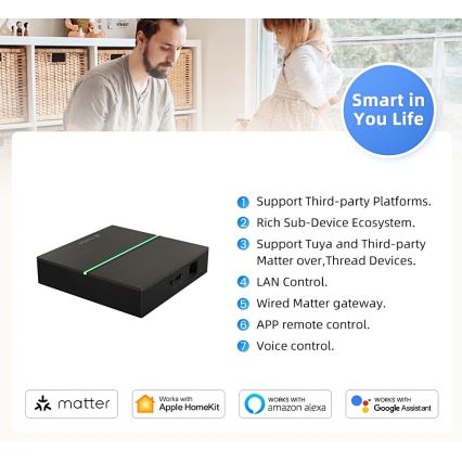 Immax NEO 07117-5 - MATTER BRIDGE smart gateway til Zigbee 3.0, 230 V, Wi‑Fi