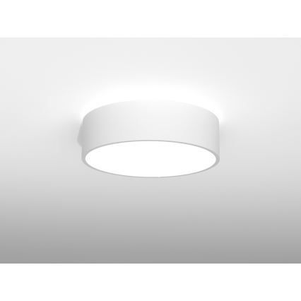 Immax NEO 07143-GR40 - LED loftlampe dæmpbar RONDATE LED/25W/230V Tuya grå + fjernbetjening