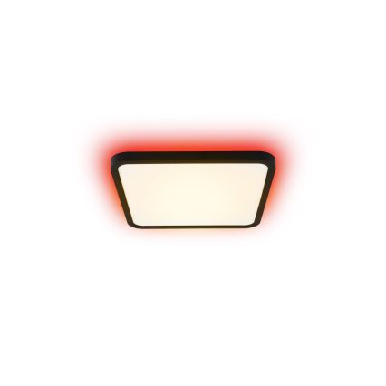 Immax NEO 07167-B40 - LED loftlampe dæmpbar RGB+CCT NEO LITE TUDO LED/50W/230V Wi-Fi Tuya sort + fjernbetjening