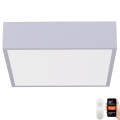 Immax NEO 07238L - LED dæmpbar loftlampe CANTO LED/22W/230V hvid Tuya + fjernbetjening
