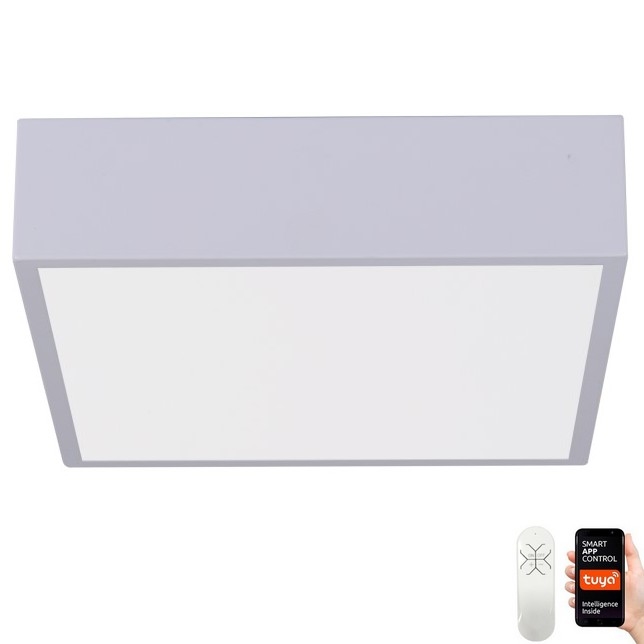 Immax NEO 07238L - LED dæmpbar loftlampe CANTO LED/22W/230V hvid Tuya + fjernbetjening