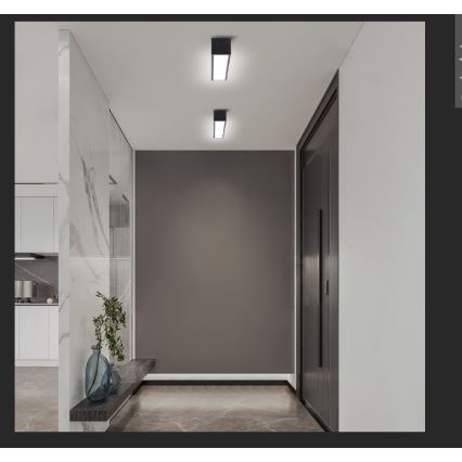 Immax NEO 07254L - LED dæmpbar loftlampe NEO LITE LUNGO LED/20W/230V 3000-6000K Wi-Fi Tuya sort + fjernbetjening