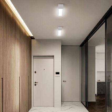 Immax NEO 07257L - LED loftlampe dæmpbar NEO LITE LUNGO LED/20W/230V 3000-6000K Wi-Fi Tuya hvid + fjernbetjening