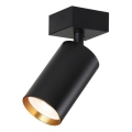 Immax NEO 07260W - LED RGB+CCT Spotlampe dæmpbar NEO LITE PUNTO 1xGU10/6W/230V Wi-Fi Tuya