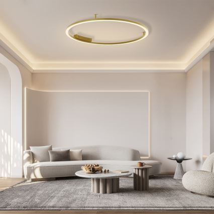 Immax NEO 07290-120G - LED+CCT Dæmpbar loftlampe FINO LED/55W/230V 2700-6500K Tuya Ø 120 cm + fjernbetjening