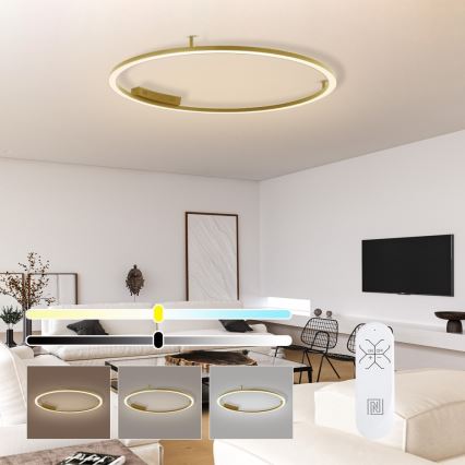 Immax NEO 07290-120G - LED+CCT Dæmpbar loftlampe FINO LED/55W/230V 2700-6500K Tuya Ø 120 cm + fjernbetjening