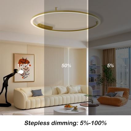Immax NEO 07290-120G - LED+CCT Dæmpbar loftlampe FINO LED/55W/230V 2700-6500K Tuya Ø 120 cm + fjernbetjening