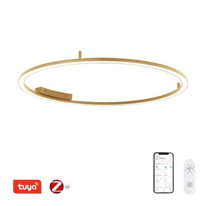 Immax NEO 07290-120G - LED+CCT Dæmpbar loftlampe FINO LED/55W/230V 2700-6500K Tuya Ø 120 cm + fjernbetjening