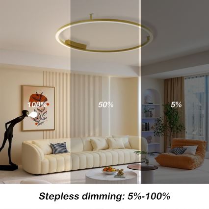 Immax NEO 07291-80G - LED+CCT Dæmpbar loftlampe FINO LED/55W/230V 2700-6500K Tuya Ø 80 cm + fjernbetjening