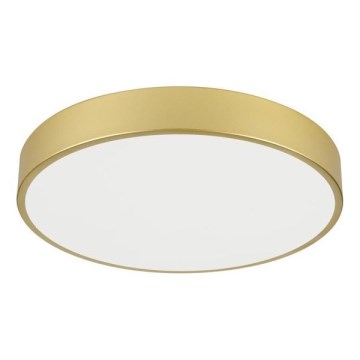 Immax NEO 07292L - LED+CCT dæmpbar loftlampe SEMPLICI LED/36W/230V 2700-6500K Ø 40 cm + fjernbetjening