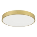Immax NEO 07293L - Dæmpbar LED-loftlampe NEO LITE SEMPLICI LED/60W/230V 3000-6000K Ø 60 cm Wi-Fi Tuya guld + fjernbetjening