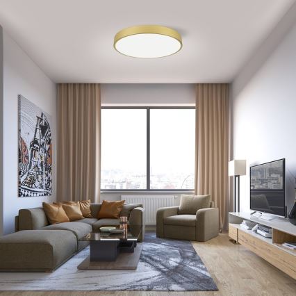 Immax NEO 07293L - Dæmpbar LED-loftlampe NEO LITE SEMPLICI LED/60W/230V 3000-6000K Ø 60 cm Wi-Fi Tuya guld + fjernbetjening
