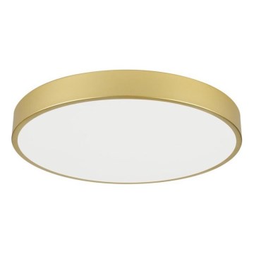 Immax NEO 07293L - LED+CCT Dæmpbar loftlampe SEMPLICI LED/60W/230V 2700-6500K Ø 60 cm + fjernbetjening