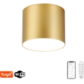 Immax NEO 07317L - LED dæmpbar loftlampe RONDATE LED/18W/230V Ø 11,5 cm med Tuya Wi‑Fi guld