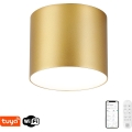 Immax NEO 07318L - LED dæmpbar loftlampe RONDATE LED/32W/230V Ø 16,5 cm Wi-Fi Tuya guld