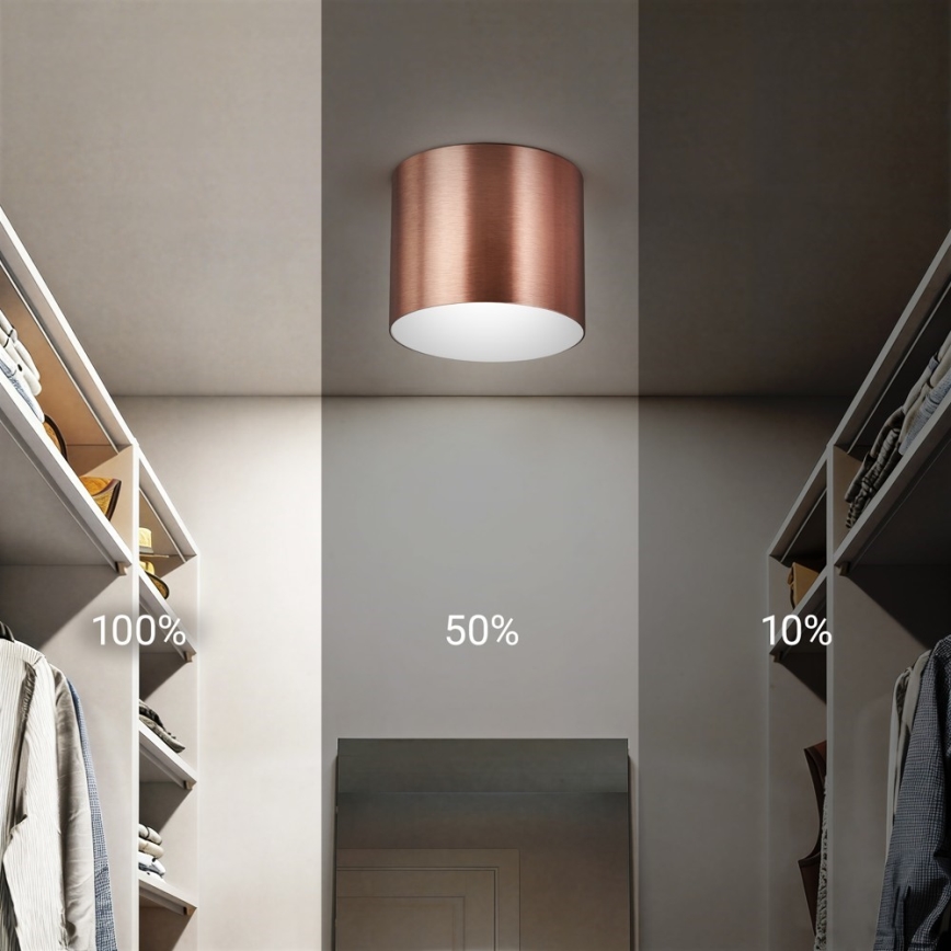 Immax NEO 07319L - LED dæmpbar loftlampe RONDATE LED/18W/230V Ø 11,5 cm Wi-Fi Tuya rosaguld