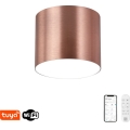 Immax NEO 07319L - LED dæmpbar loftlampe RONDATE LED/18W/230V Ø 11,5 cm Wi-Fi Tuya rosaguld