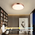 Immax NEO 07321L - LED dæmpbar loftlampe NEO LITE SEMPLICI LED/36W/230V Ø 40 cm kobberfarvet + fjernbetjening