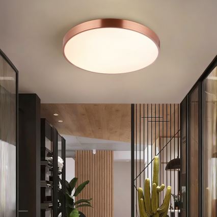 Immax NEO 07322L - LED dæmpbar loftlampe NEO LITE SEMPLICI LED/60W/230V Ø 60 cm kobberfarvet + fjernbetjening