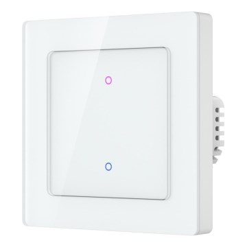 Immax NEO 07539L - SMART 2-knaps afbryder 230 V med Wi‑Fi (Tuya)