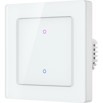 Immax NEO 07550L - SMART 2-knaps afbryder 230 V